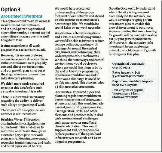 Option 3 - an extract from the Wellington City Council's consultation document.